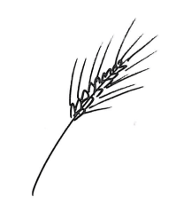 Screen Shot 2013-03-24 at 1.49.50 PM